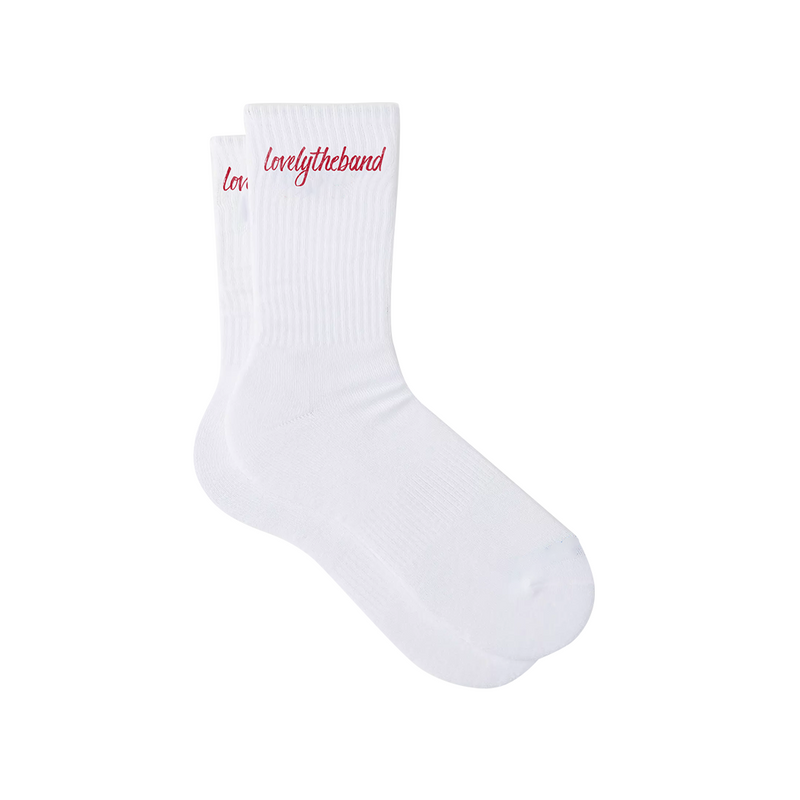 LOVELYTHEBAND SOCKS